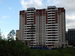 Почти 300 обманутых дольщиков в Новодевяткино получат новые квартиры